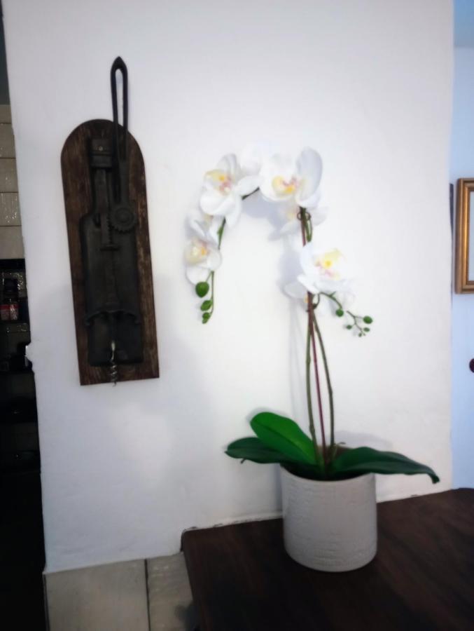 Casa Jaruf Centro Historico Parking Gratuito Patio Petfriendly Daire Arcos de la Frontera Dış mekan fotoğraf